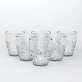 Sparkle Acrylic Glass 6 Pcs Set